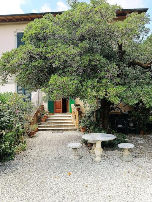Just Outside The Wall: Free A/C, Bikes And Wifi Lucca Exterior foto